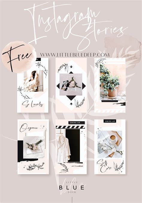 Pink and Black Instagram Story Template - Little Blue Deer Custom Blog ...