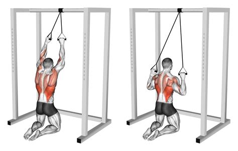 Resistance Band Lat Pulldown Benefits Muscles Worked And More