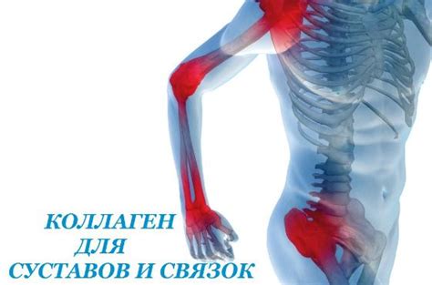 Коллаген для суставов и связок- польза, препараты и спортпит