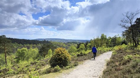 Countryside | Surrey | National Trust