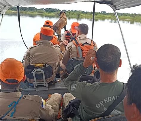 Desaparecido H Dias C O Farejador Tem Comportamento Diferente E