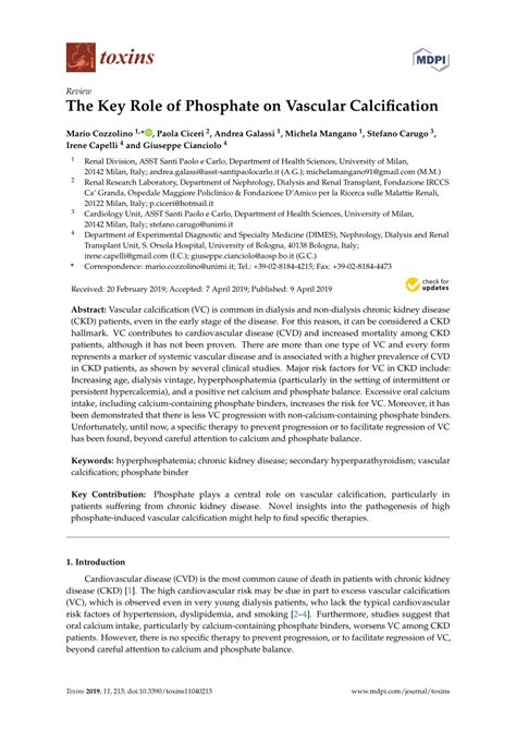 Pdf The Key Role Of Phosphate On Vascular Calcification