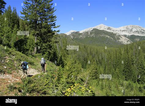 Hiking In The Bob Marshall Wilderness Teton Pass Area West Fork