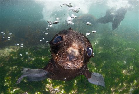 Sony World Photography Awards 2016 Ten Beautiful Images Released As