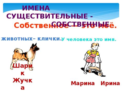 Презентация для урока русского языка в 3 классе Собственные и ...