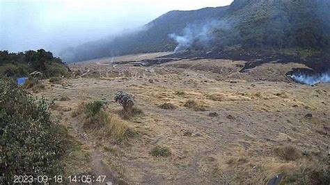 BREAKING NEWS Mirip Di Bromo Savana Alun Alun Taman Nasional Gunung