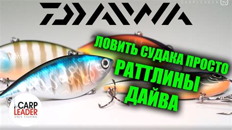 Раттлины на судака Дайва! Обзор Карплидер - YouTube