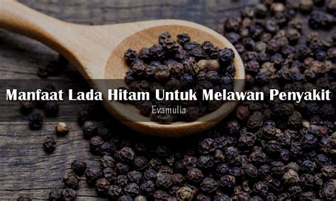 Manfaat Lada Hitam Eva Mulia Clinic