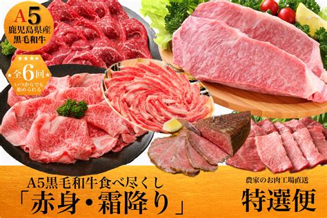 【全6回定期便】鹿児島県産a5黒毛和牛霜降り・赤身食べ尽くし定期便 3kg ギフト黒箱入水迫畜産z120 550m21 肉 牛 牛肉 豚