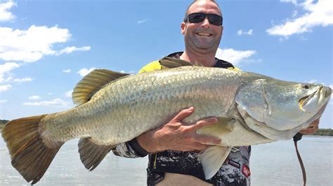 Giant Barramundi