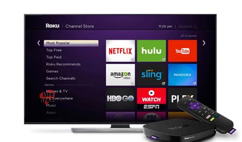 How To Install Hulu On Roku Guide Life Pyar