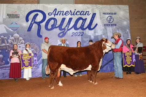 American Hereford National Shows Archives American Hereford Association