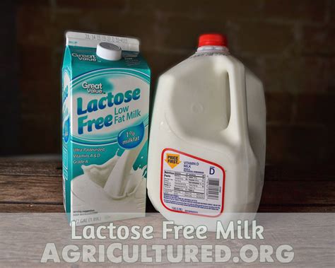 Lactose Free Milk - My Fearless Kitchen