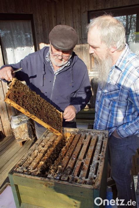 Bei den Imkern beginnt das Bienenjahr Frühjahrs Check am Bienenstock