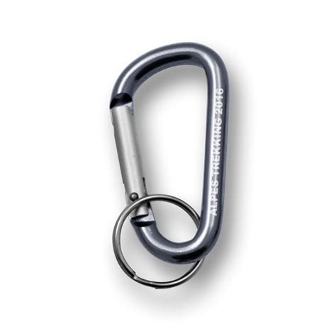 CARABINER KEY RING