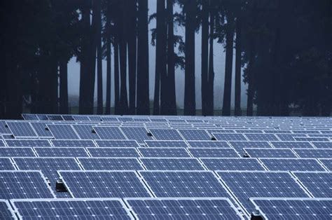 Black Solar Cells Reach Incredible New Efficiency Record Artofit