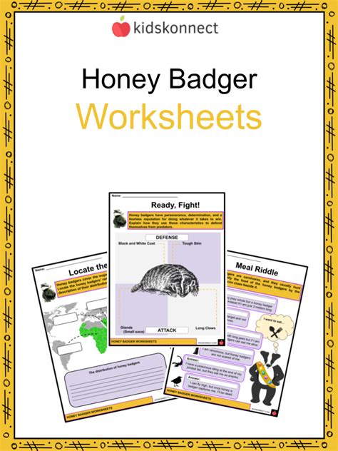 Honey Badger Worksheets And Facts Anatomy Characteristics Diet