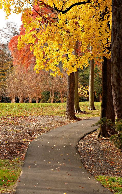 Autumn Walk Autumn Walks Country Roads Sidewalk