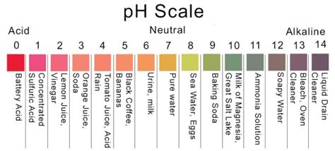 Neutral pH: Does Water Have a Taste? – Precision Laboratories