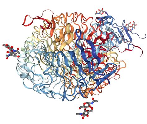 Lgr Protein Overview Sino Biological