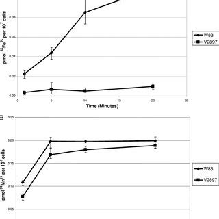 Growth of P. gingivalis strains. P. gingivalis strains were subcultured ... 