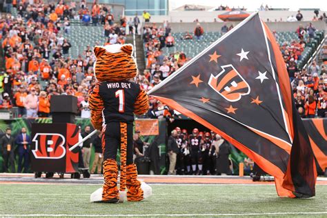 Bengals in upper-half of NFL mascot rankings - Cincy Jungle