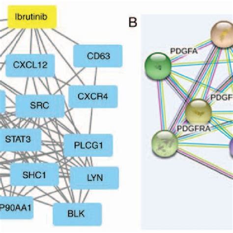 Pdgfd Egfr And Ibrutinib Interaction Network Diagram A Search Tool