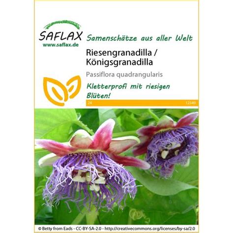 Saflax Óriás golgotavirág 1 csomag Bloomling Online Shop