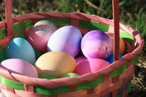 Free Images Grass Food Spring Color Garden Wicker Basket