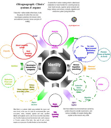 organic system geometry ogcg