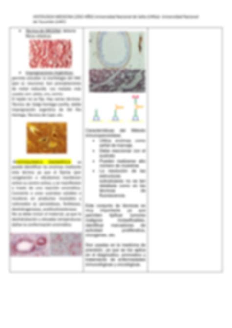 Solution Cuadro De Tecnicas Histologicas Especiales Unsa Unt Studypool