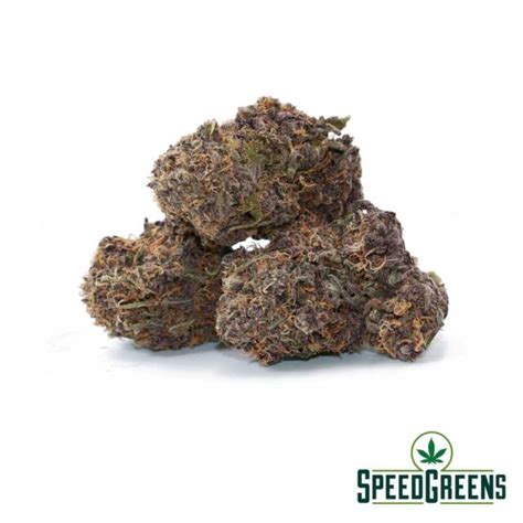 Shop Aaa Online Canada Speed Greens