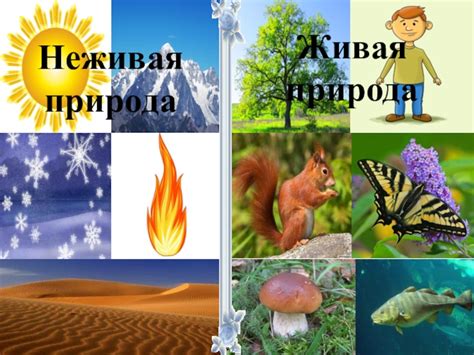 Живая И Неживая Природа Картинки Для Детей — Картинки фотографии