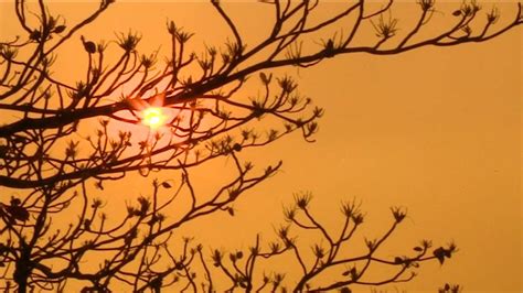 Onda De Calor Intenso Em Sc Pode Ter Máximas De 40ºc Veja Lista De