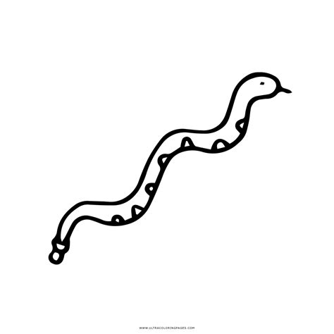 Dibujo De Serpiente De Cascabel Para Colorear Ultra Coloring Pages