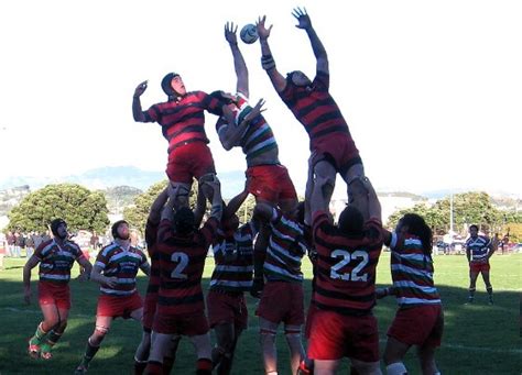 Hutt Rugby Gallery Hutt Old Boys Marist Rugby Football Club