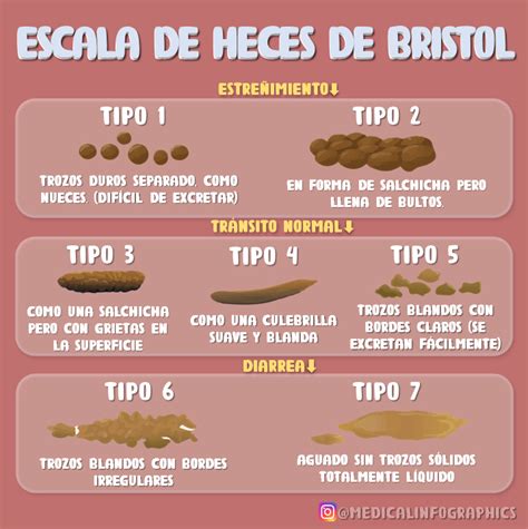 Escala De Heces De Bristol Vivencie A Emo O Das Apostas O Mega Se A