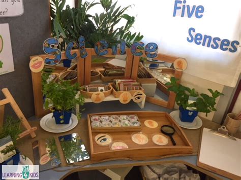 How To Set Up A Five Senses Investigation Centre Learning 4 Kids