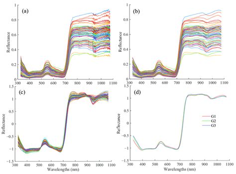 Corn Canopy Reflectance Spectral Curve A Original Canopy Reflectance