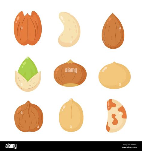 Nuts Mix Set Collection Vector Flat Cartoon Illustration Icon Design