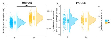 Figure 1 From Comparative Neuroimaging Of Sex Differences In Human And Mouse Brain Anatomy