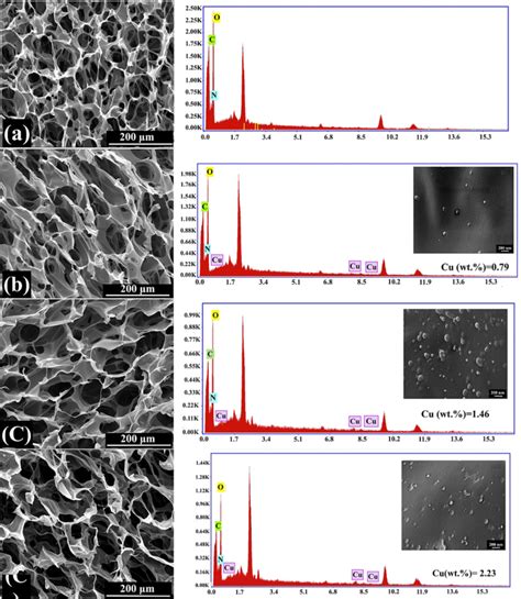 Sem Images Cross Section Scale M Corresponding Eds Spectra