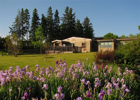 COVID-19: Loyola House Retreat & Training Centre becomes shelter for homeless people - Canada ...