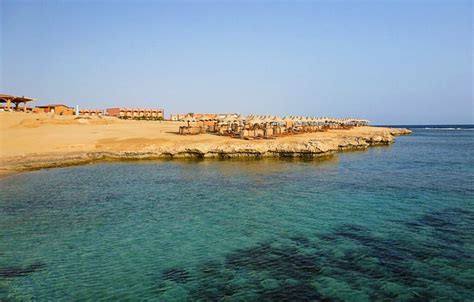 Ancient Red Sea Shipwreck Found Near El Quseir