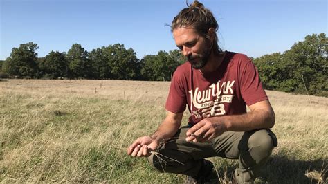 Plaisance L Leveur Lib Re Ses Prairies Face Au Climat