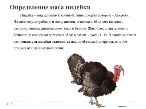 Мясо индеек - презентация онлайн