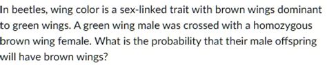 Solved In Beetles Wing Color Is Sex Linked Trait With Brown Wings Dominant To Green Wings A
