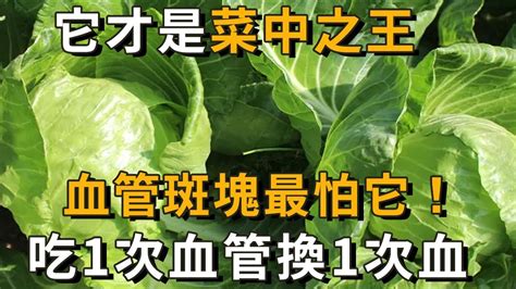 蘿蔔青菜統統靠邊！它才是菜中之王！血管斑塊最怕它！幾毛錢1斤，卻比10萬補藥還管用！ Youtube