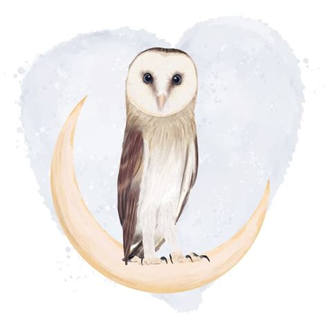 Premium Vector Owl On Moon Illustration