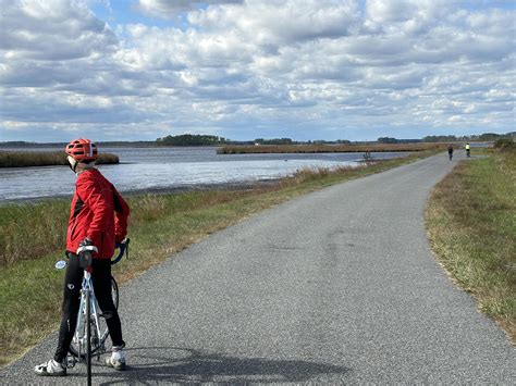 New daily... - Rex Parker Does the NYT Crossword Puzzle | Facebook